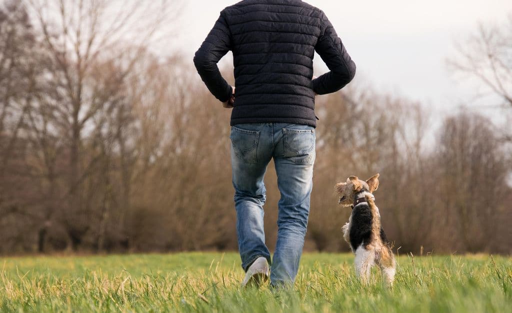 Mann geht neben einem Hund.